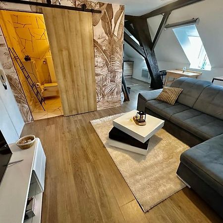 Logement Entier Au Coeur De สตราสบูร์ก ภายนอก รูปภาพ