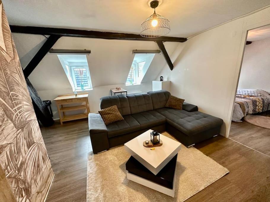 Logement Entier Au Coeur De สตราสบูร์ก ภายนอก รูปภาพ