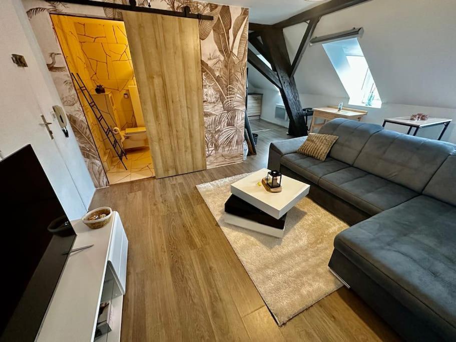 Logement Entier Au Coeur De สตราสบูร์ก ภายนอก รูปภาพ